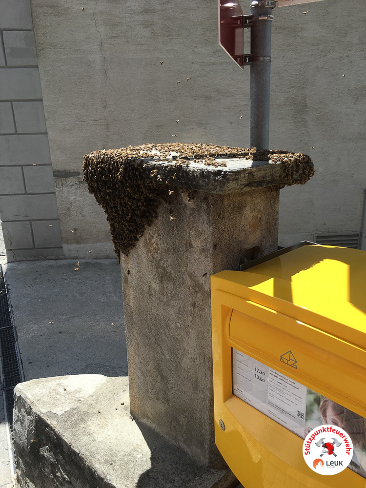 Bienenstock Konsum Leuk